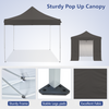 Pop up Canopy,10x10FT Waterproof Instant Canopy Tent w/4 Removable Sidewall,Patio Gazebo w/Roller Bag,4 Weight Bags, Privacy Protection Easy Up Canopy Tent for Wedding Party Commercial Event Pavilion